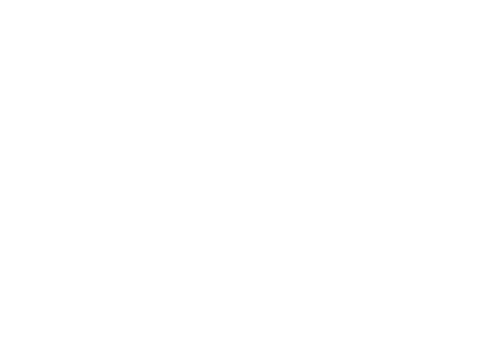Cleaning Icon White