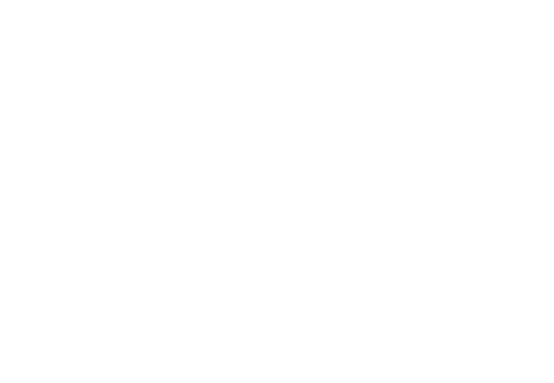 Shield Icon White